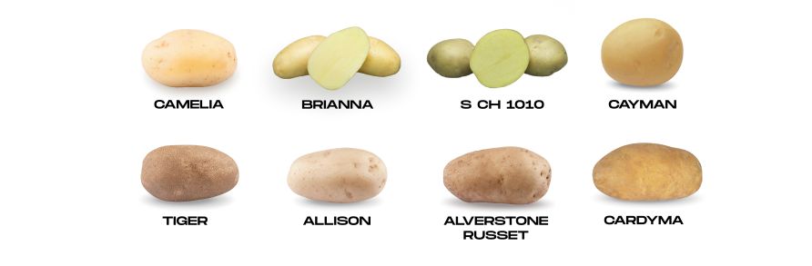 Resistant varieties