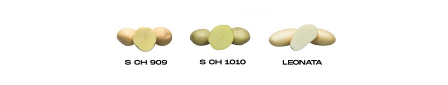 Successful varieties