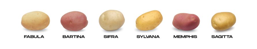 Successful varieties